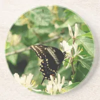 Butterfly Coaster