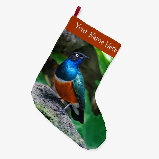 Stunning Colorful African Superb Starling Songbird Large Christmas Stocking