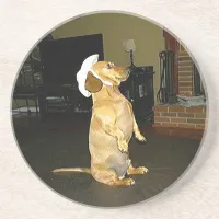 Sitting Pretty Dachshund Coaster