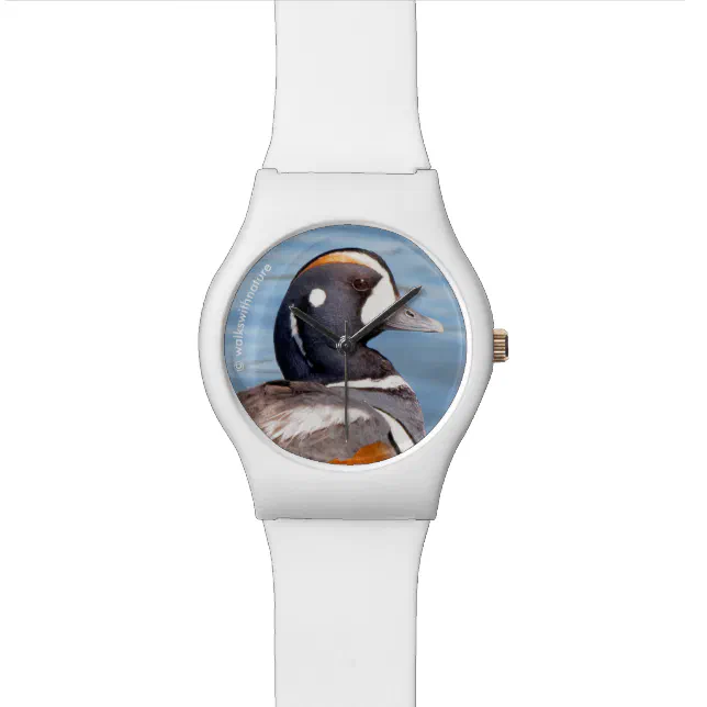 Beautiful Harlequin Duck on the Rock Wristwatch