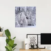 Snow-Covered Trees Spring Snow in April Photo Poster