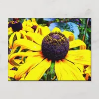 Bright Yellow Flower : Funchal, Portugal Postcard