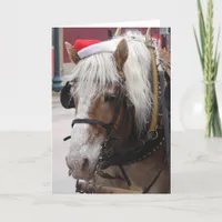 Belgian Draft Horse Christmas Greeting Holiday Card