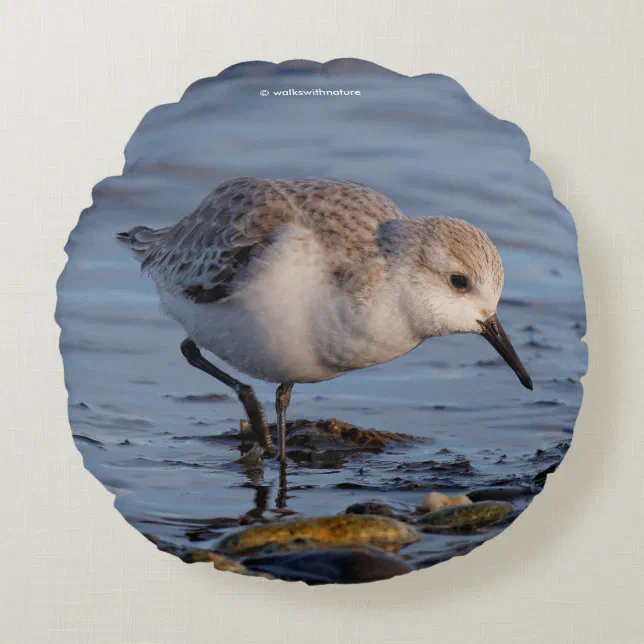 Cute Sanderling Sandpiper Shorebird at the Beach Round Pillow