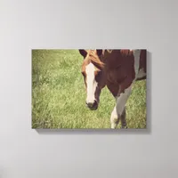 Flashy Canvas Print