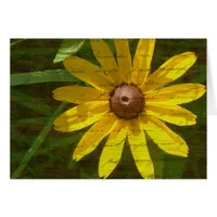 Black-Eyed Susan