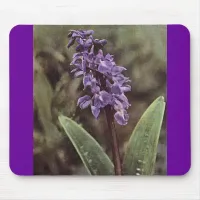 Wildflower: Early Purple Orchids Mouse Pad