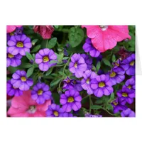 [Colorful Flowers] Purple Calibrachoa Card