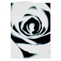 White Rose Card