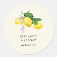 Rustic Lemon Citrus Boho Summer Wedding Classic Round Sticker