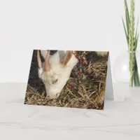 Saanen Goat Christmas Holiday Card