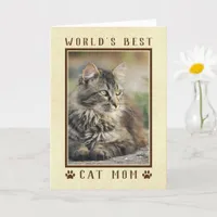 World's Best Cat Mom Happy Birthday Photo Gold Card