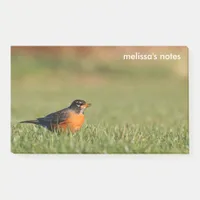 American Robin the Winter Grass Post-it Notes