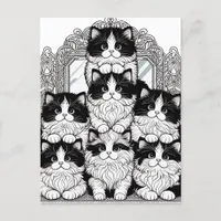 Black and White Cats Postcard