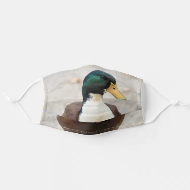 Domestic Mallard Duclair Bibbed Odd Duck Adult Cloth Face Mask