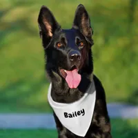 Custom Personalized Name Minimal White Pet Bandana Collar