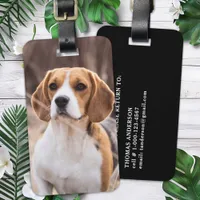 Custom Photo Dog Pet Personalized  Luggage Tag