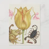 Vintage Flowers and Scorpian Postcard