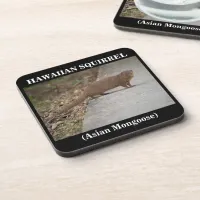 Hawaiian Squirrel (Asian Mongoose) Plastic Coaster