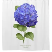 Blue Hydrangea Shower Curtain