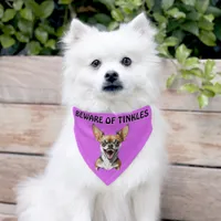 Beware of (Add Dog Name) Personalized Pet Bandana Collar