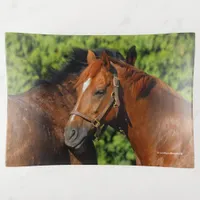Two Beautiful Chestnut Horses in the Sun Trinket Tray