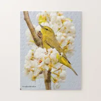 Orange-Crowned Warbler Amid the Cherry Blossoms Jigsaw Puzzle