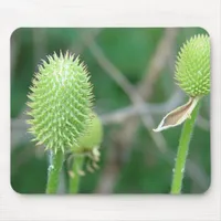 Wildflower 2 mouse pad