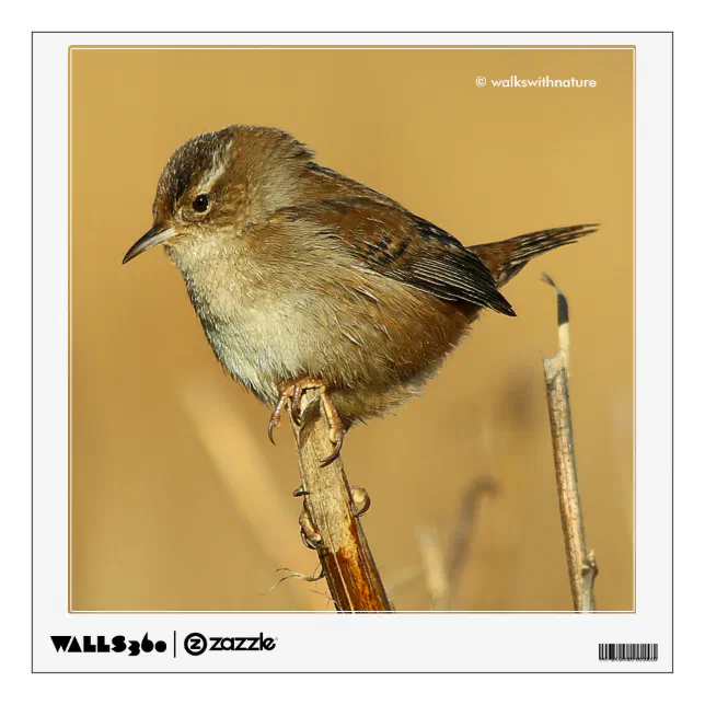 Profile of a Beautiful Marsh Wren Wall Sticker