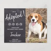 Budget We've Adopted Dog Rescue New Pet Announce