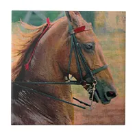 Saddlebred Faux Painting Tile