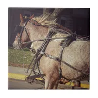 Beautiful Horses Tile