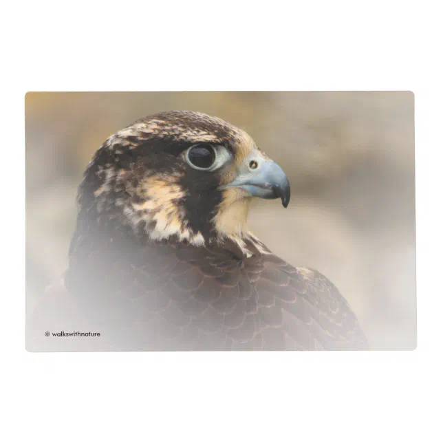 Vignetted Profile of a Peregrine Falcon Placemat