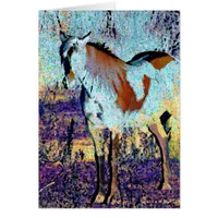 Pinto Horse Digital Art