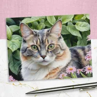 Cute Dilute Tortoiseshell Tortie Cat In Garden Postcard