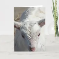 Casper the Friendly Goat Card