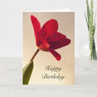 Elegant Red Tulip Birthday  Card