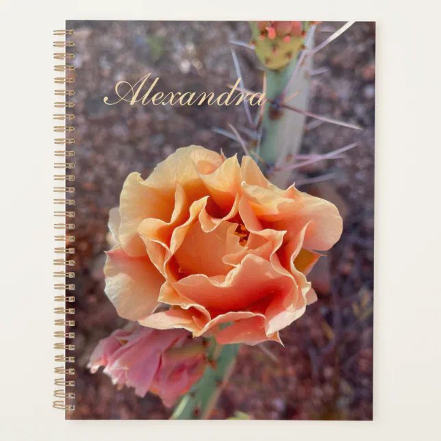 Pretty Peach Prickly Pear Flower Planner