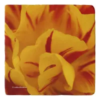 Elegant Two-Tone Floral Red Gold Monsella Tulip Trivet