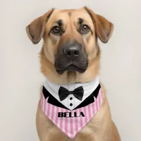 Striped Suit Pattern Name Pet Bandana Collar