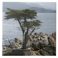 Majestic Lone Pine: Iconic Beauty of California Ceramic Tile