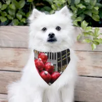 Huge Christmas Ball Ornaments in NYC Pet Bandana Collar