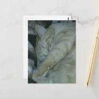 adorable ginger kitty sleeping postcard
