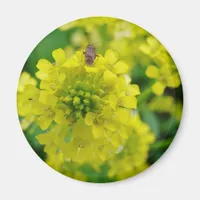 Bug on Flower Magnet