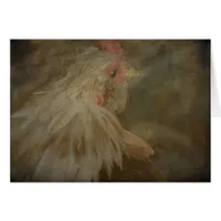 Rooster