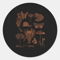 Botanical Art, Frog Fungi Goblincore Aesthetic Cot Classic Round Sticker