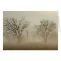 Foggy Trees