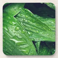 Rainy Day Hosta Leaves Beverage Coaster