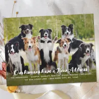 Funny Modern New Address Custom Pet Dog Photo Announcement Postcard