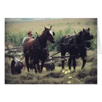 Haying Time